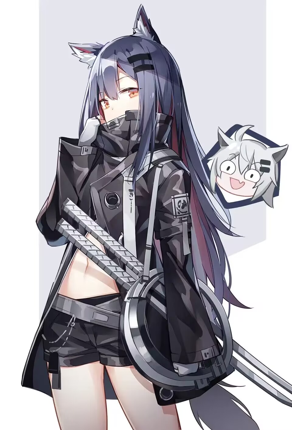 两只狼的插画